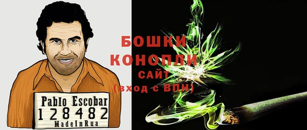 дурь Заводоуковск
