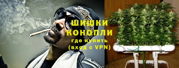 дурь Заводоуковск