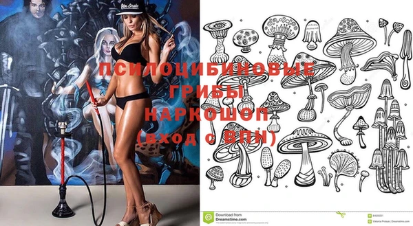 дурь Заводоуковск