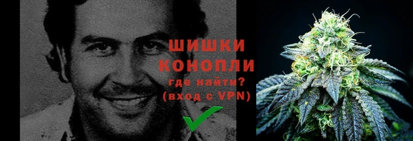 дурь Заводоуковск