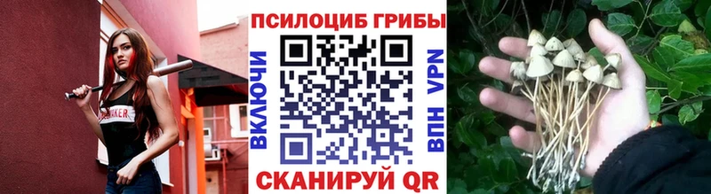 Псилоцибиновые грибы мицелий продажа наркотиков Свободный