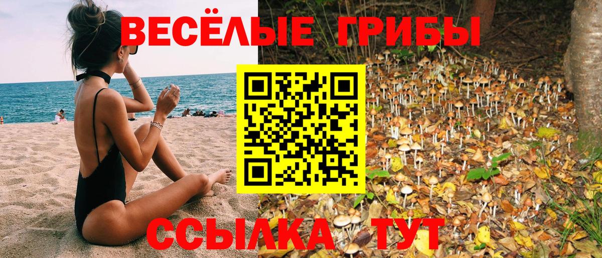 Псилоцибиновые грибы мицелий Свободный