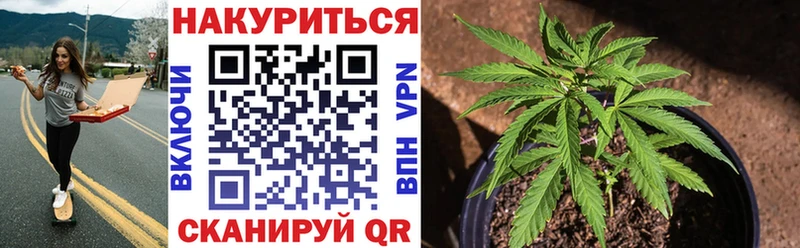 Каннабис ГИДРОПОН  Свободный 